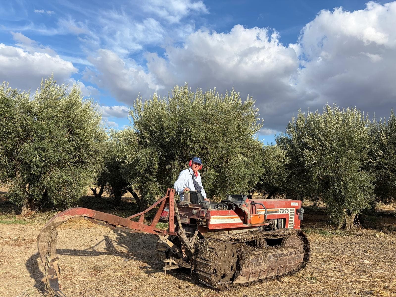 Working the family olive grove in Basilicata